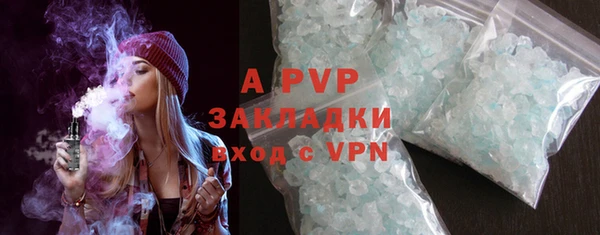 PSILOCYBIN Елизово