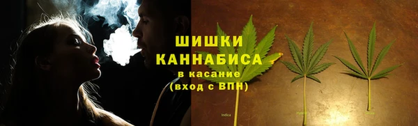 mdpv Ельня