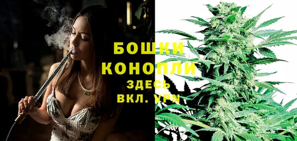 mdpv Ельня