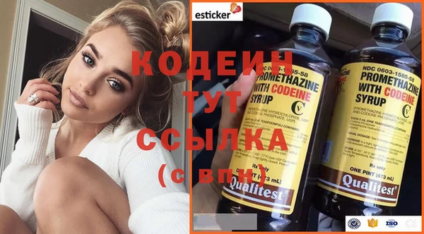 МДПВ Елабуга
