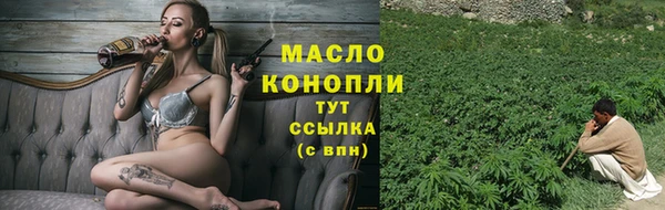 МДПВ Елабуга