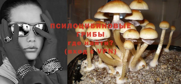 МДПВ Елабуга