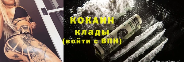 mdpv Ельня