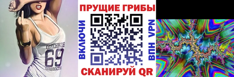 Купить закладки  Калач  Галлюциногенные грибы Psilocybe 
